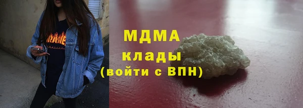 индика Бронницы